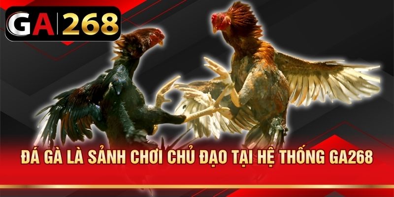 Đá gà là sảnh chơi chủ đạo tại hệ thống GA268